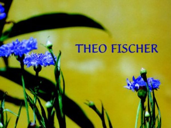 Wu Wei, A Arte de Viver O Tao - Download - Theo Fischer