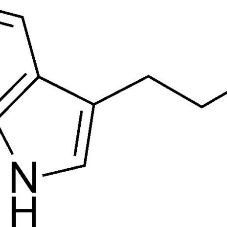 dimetiltriptamina