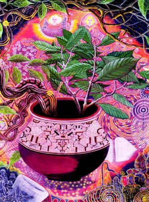 ayahuasca