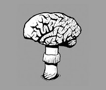 shrooms_brain