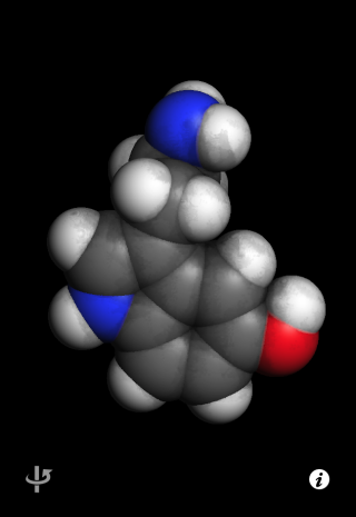 Serotonina, principal neurotransmissor ligado à memória/aprendizado