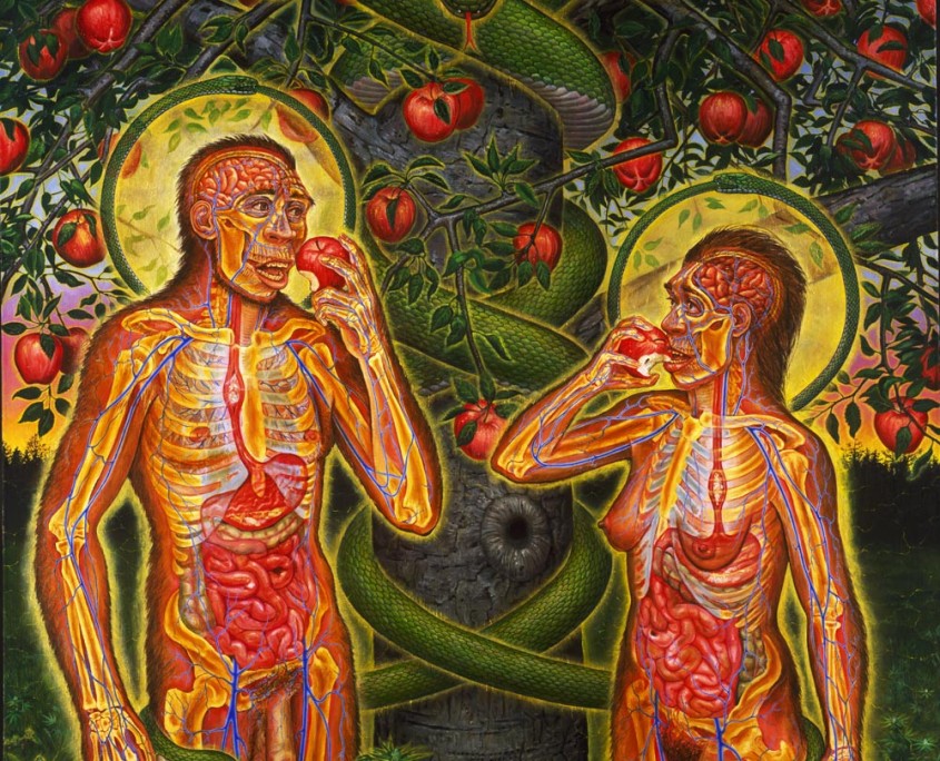 Adam and Eve – Alex Grey